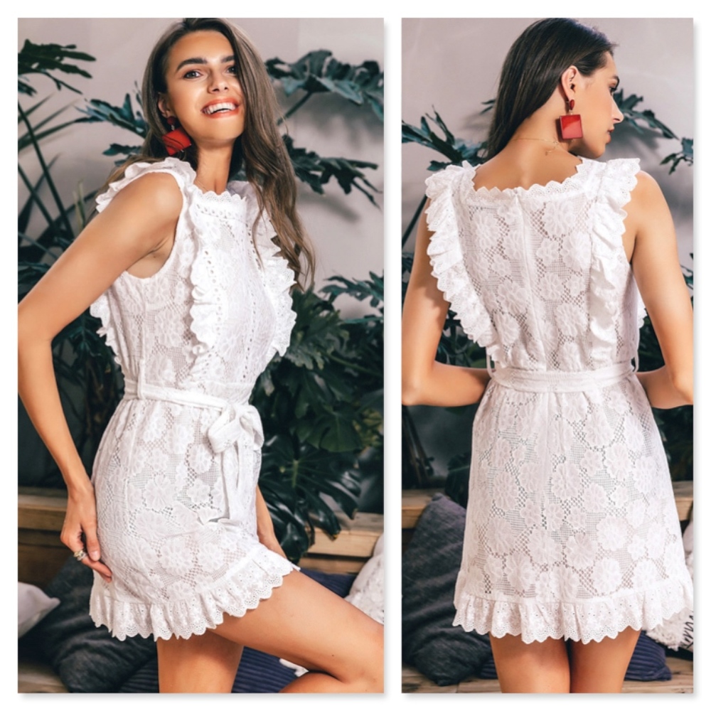 Eyelet White Belted Fit and Flared Mini Dress - Picture 3 of 8